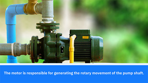 pump head vs pump motor content image